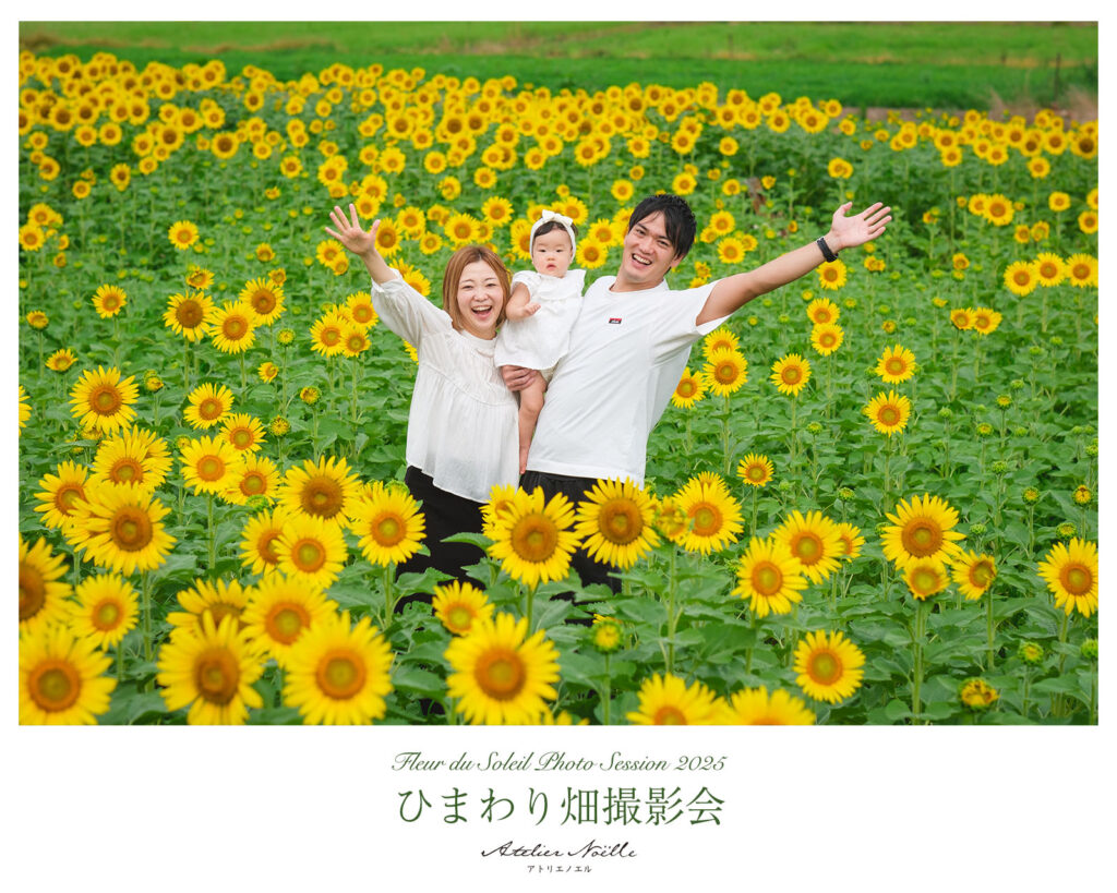 ひまわり畑撮影会