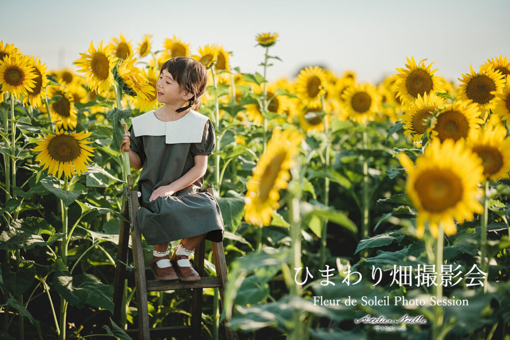 ひまわり畑撮影会